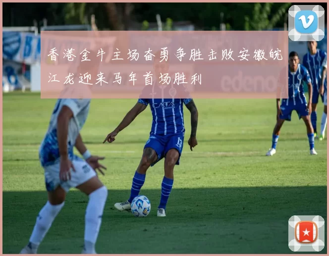 香港金牛主场奋勇争胜击败安徽皖江龙迎来马年首场胜利
