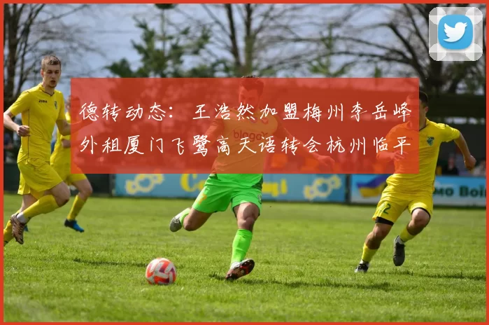 德转动态：王浩然加盟梅州李岳峰外租厦门飞鹭高天语转会杭州临平吴越